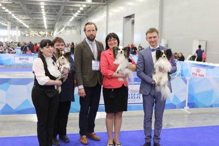 Best of breed kennel Eurasia 1 - 2017!!!
