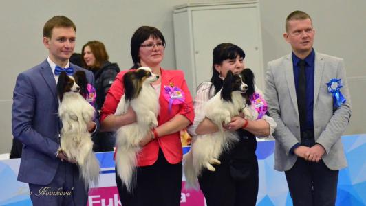 Best of breed kennel Eurasia 2 - 2017!!!