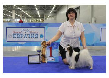 Best of breed kennel Eurasia 2 - 2017!!!