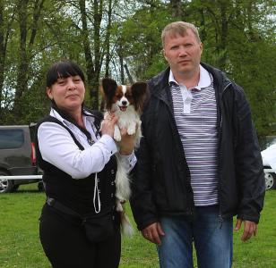 папильон Бон Плезир Фей де Неж (Милка)