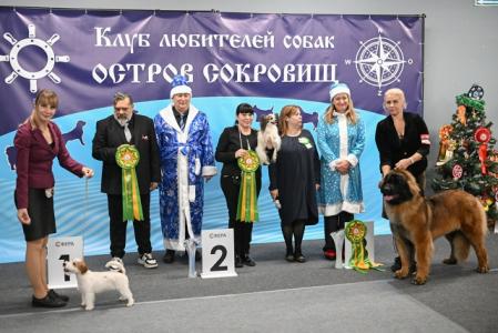 БОН ПЛЕЗИР НОТА БЕНЕ 29 Декабря 2024 г. - Остров Сокровищ монопородная выставка КОНТИНЕНТАЛЬНЫЙ ТОЙ СПАНИЕЛЬ ранг КЧК