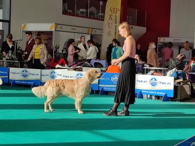 Zhavoronok iz Lesnogo Gorodka 17.10.2021 - International dog show