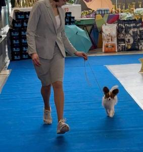 Бон Плезир Жанетта 1 Марта 2026 г. - Выставка САС 9 группы