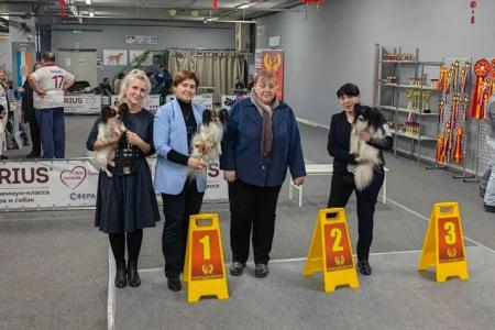 РОО РГК САС  9 ГРУППЫ