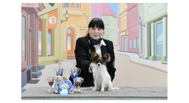 Щенки папийона (папильона) в питомнике Бон Плезир Щенки папийона (папильона) в питомнике Бон Плезир