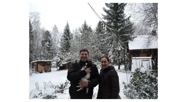 Щенки папийона (папильона) в питомнике Бон Плезир Щенки папийона (папильона) в питомнике Бон Плезир