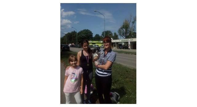 Щенки папийона (папильона) в питомнике Бон Плезир Щенки папийона (папильона) в питомнике Бон Плезир