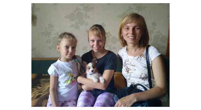 Щенки папийона (папильона) в питомнике Бон Плезир Щенки папийона (папильона) в питомнике Бон Плезир