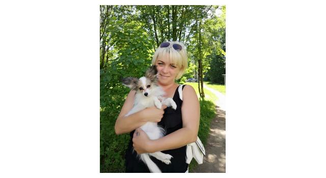 Щенки папийона (папильона) в питомнике Бон Плезир Щенки папийона (папильона) в питомнике Бон Плезир