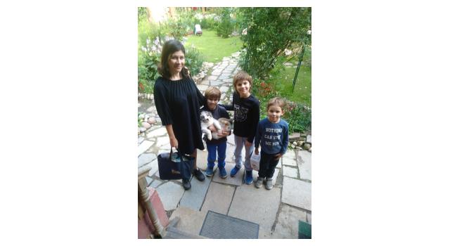 Щенки папийона (папильона) в питомнике Бон Плезир Щенки папийона (папильона) в питомнике Бон Плезир