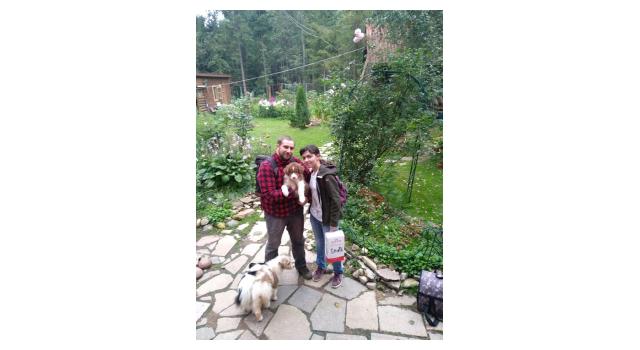 Щенки папийона (папильона) в питомнике Бон Плезир Щенки папийона (папильона) в питомнике Бон Плезир