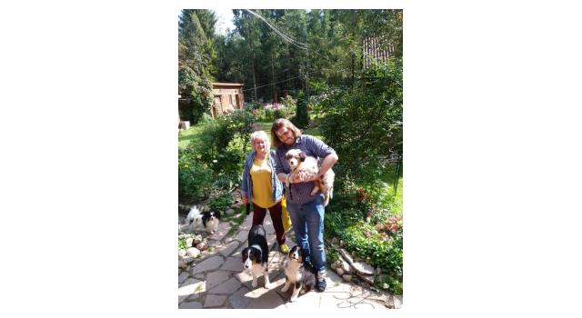 Щенки папийона (папильона) в питомнике Бон Плезир Щенки папийона (папильона) в питомнике Бон Плезир