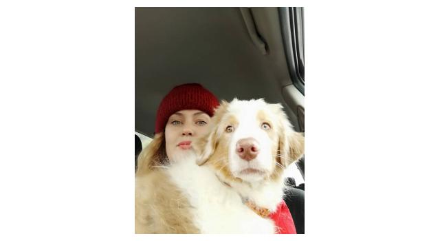 Щенки папийона (папильона) в питомнике Бон Плезир Щенки папийона (папильона) в питомнике Бон Плезир