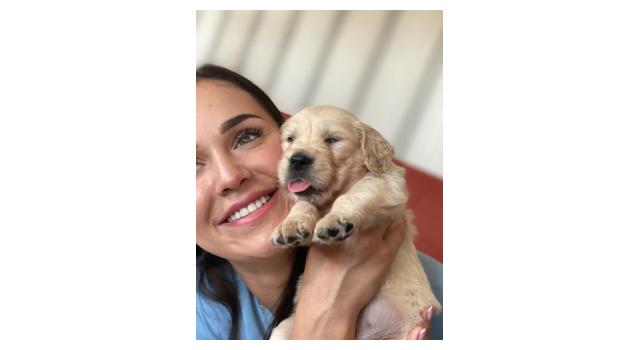 Щенки папийона (папильона) в питомнике Бон Плезир Щенки папийона (папильона) в питомнике Бон Плезир