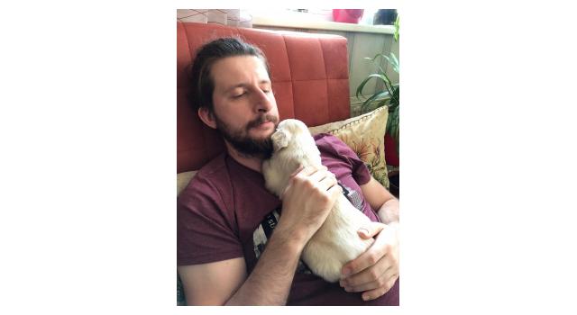 Щенки папийона (папильона) в питомнике Бон Плезир Щенки папийона (папильона) в питомнике Бон Плезир